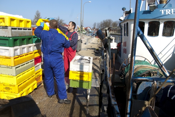 Niezadowalające kwoty połowowe dla polskich rybaków